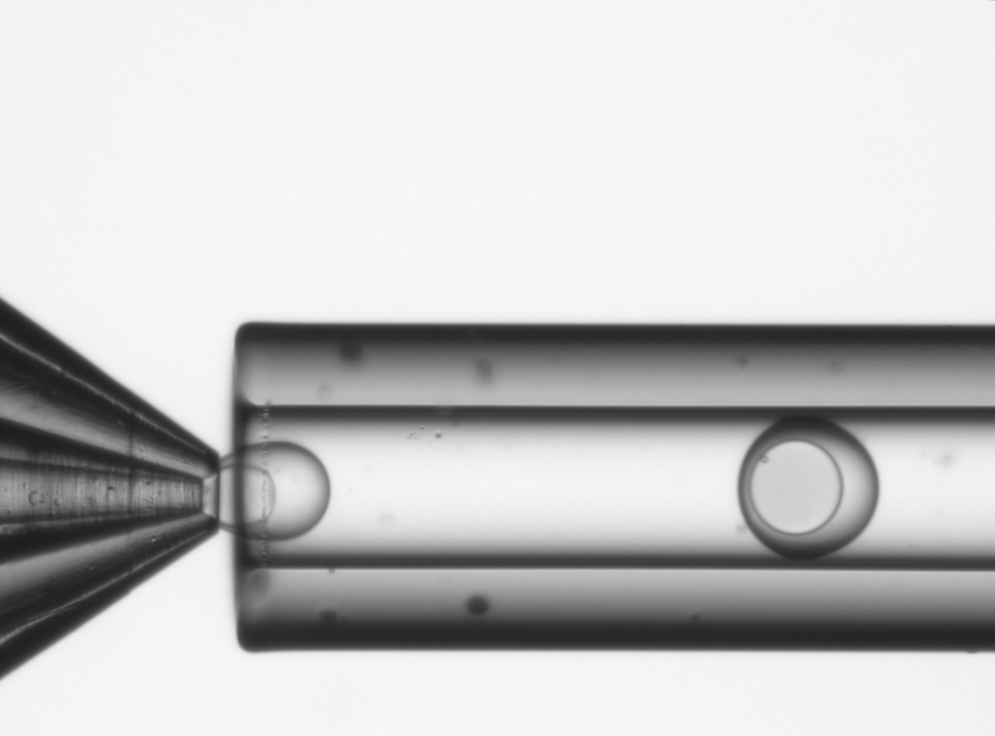 fc40-190-7.4-12.2 - Fluigent Double Emulsion Device droplet