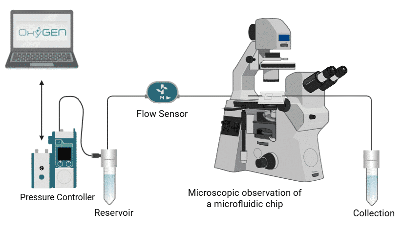 Graph of a microfluidic setup.