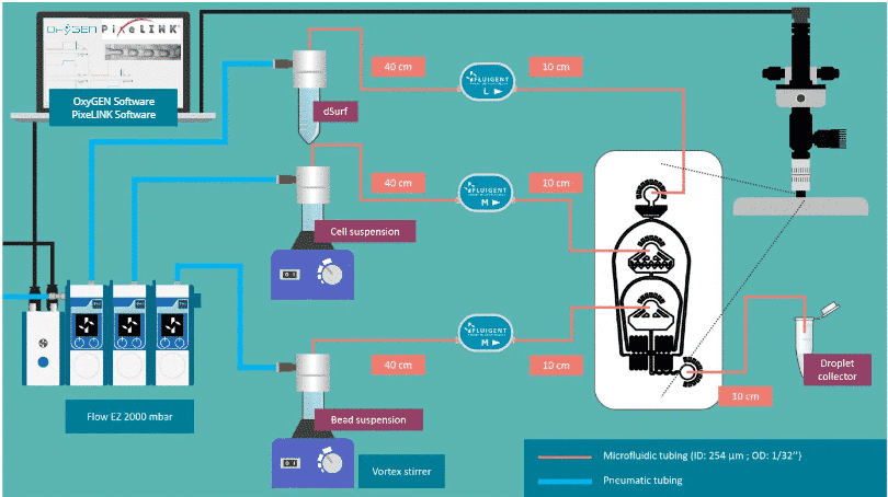 Drop Seq Sequencing