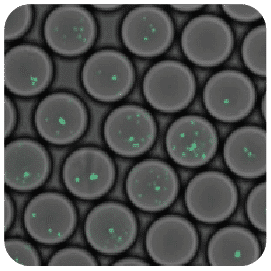 Industrial solution for encapsulation