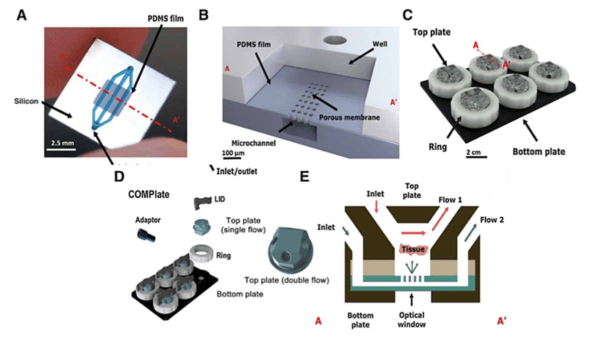 Microfluidic Cancer-on-Chip Platform by Erasmus MC - Fluigent