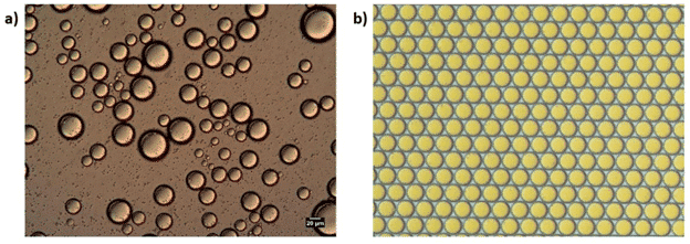 methods for generation of microemulsions