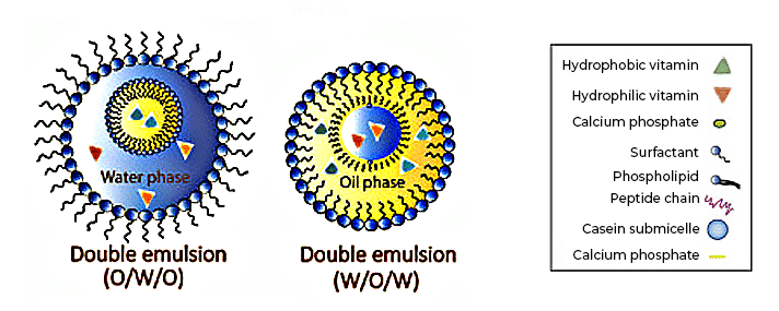 Nanoencapsulation von Biomolekülen in Polymeren