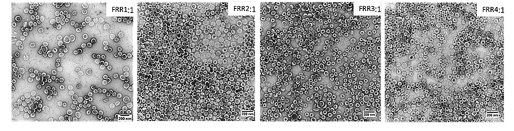 TEM images of the obtained liposomes for each FRR