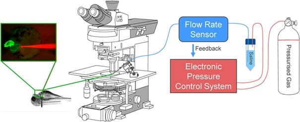 electronic flow control system for cardiac preload