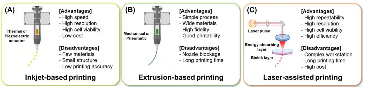 3D bioprinting technologies - Fluigent 3D bioprinting technologies advantage limits