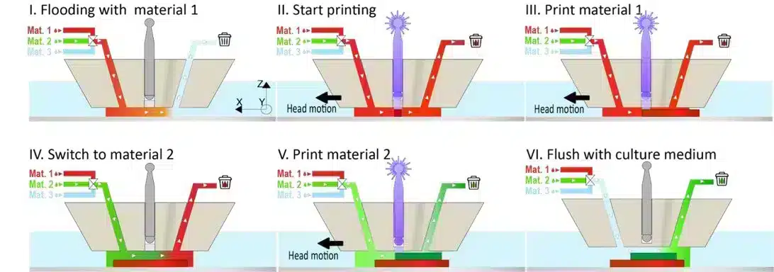 Schematic multimaterial printing process - Fluigent Schematic representation of the multimaterial printing process