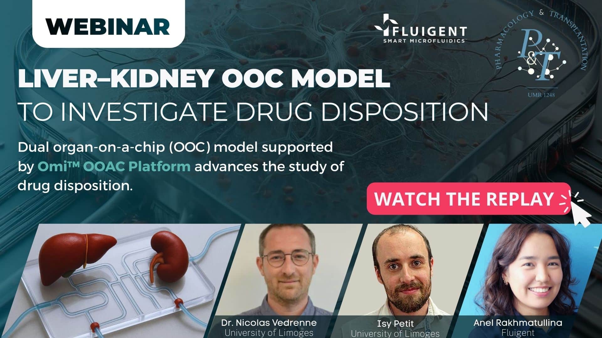 replay webinar liver kidney Limoges
