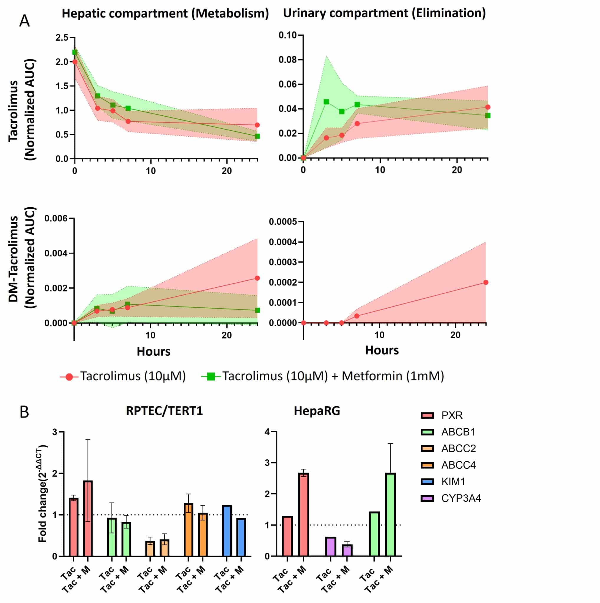 Graph of Tacrolimus effect onto the dual organ models