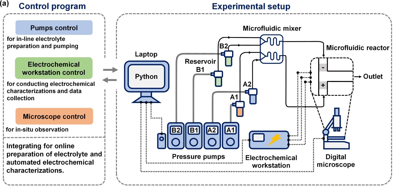 Automated Microfluidic Electrochemistry for Cyclohexanol Oxidation