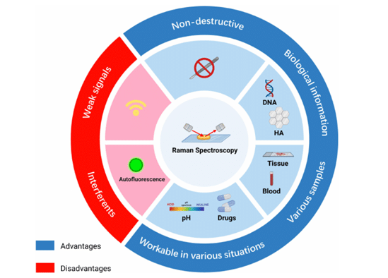 Microfluidic Raman Spectroscopy for High-Throughput Blood Analysis ...
