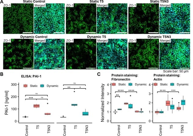 anti-fibrotic drug nintedanib effect on IPF like symptoms