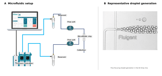 Panel A computer controlled microfluidic setup with pressure controllers reservoirs flow units and tubing used to drive fluid flow Panel B flow focusing droplet generator in a chip producing droplets labelled Fluigent