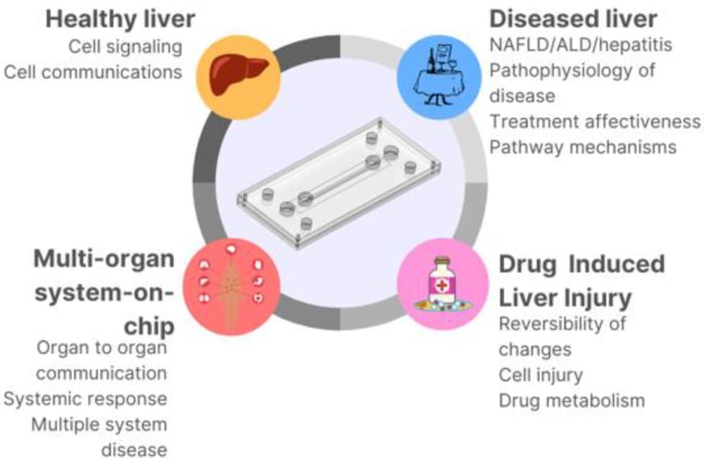 microfluidic chip for liver disease modeling