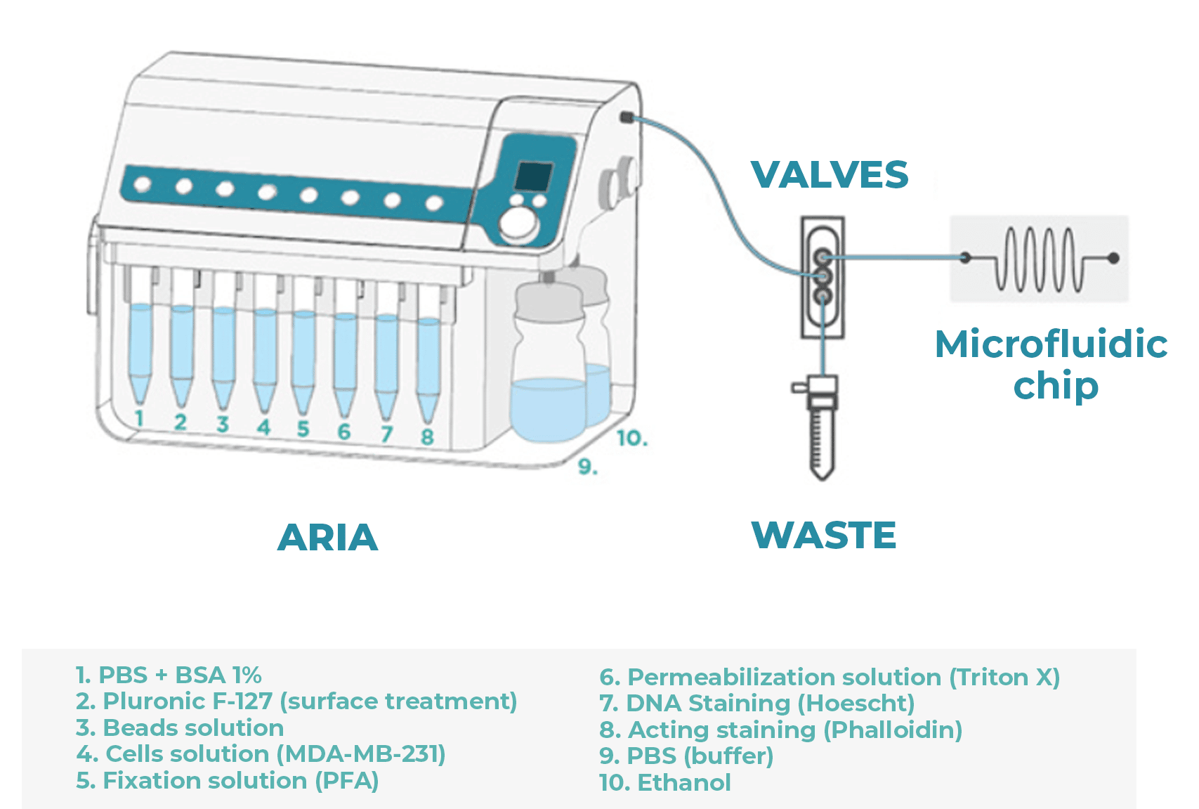 immunostaining setup