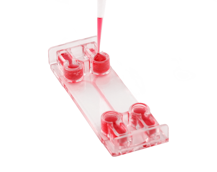 image of be double flow chip