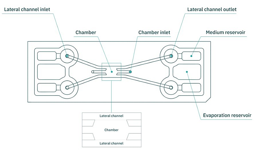 scheme of the chip