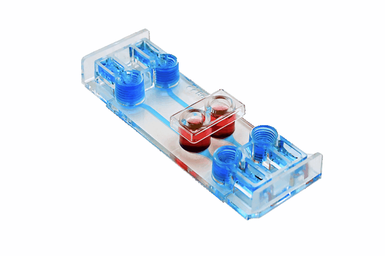 be transflow Beonchip
