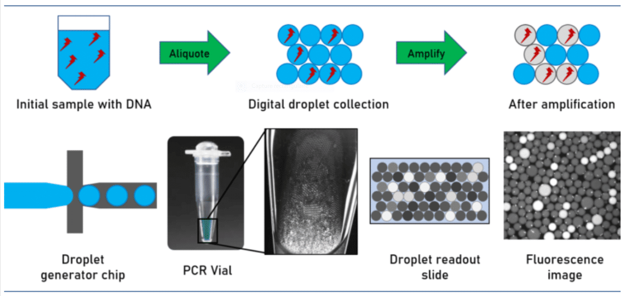 Analysis of a commercial surfactant for digital PCR