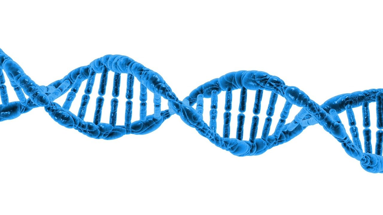 droplet digital pcr for diagnostic research