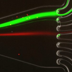 microfluidic cell sorting