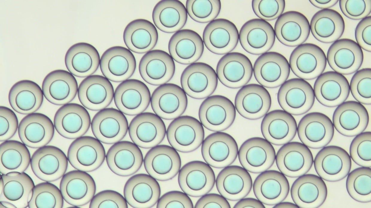 PLGA microcapsule microfluidic Droplet Generation