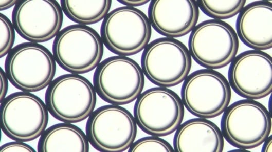 Uv polymerised resin microcapsule
