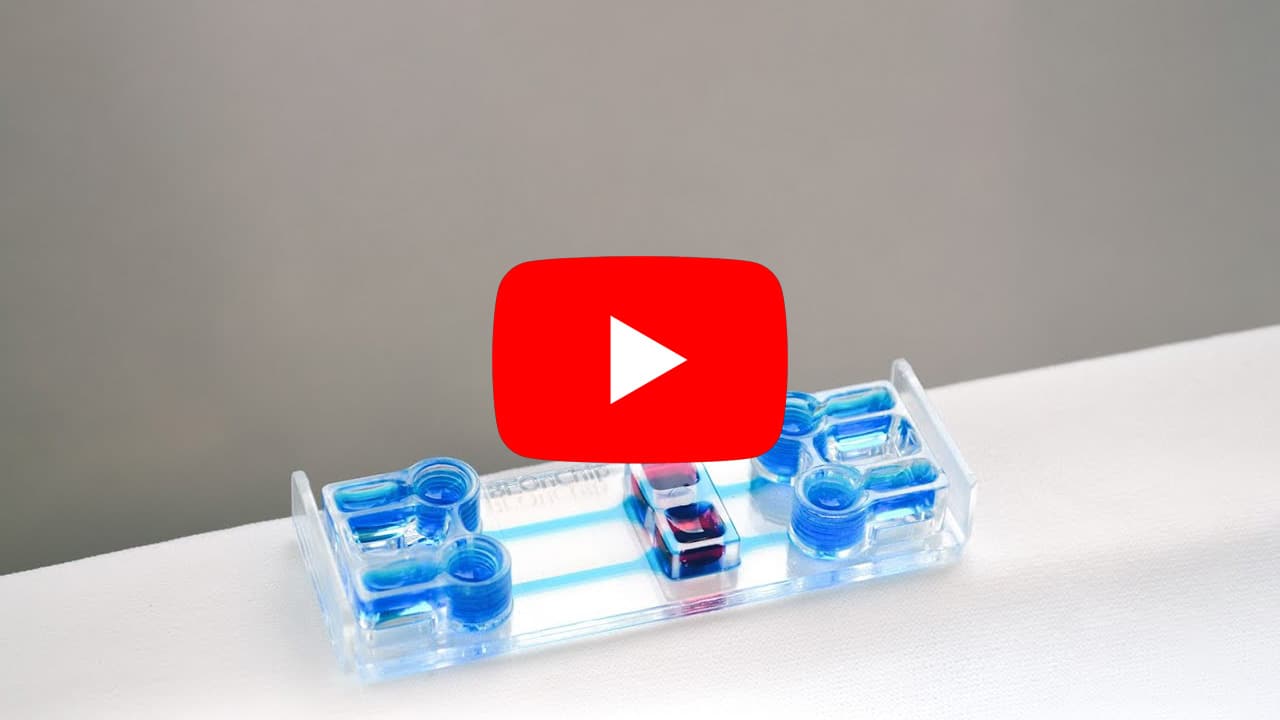 video of be transflow