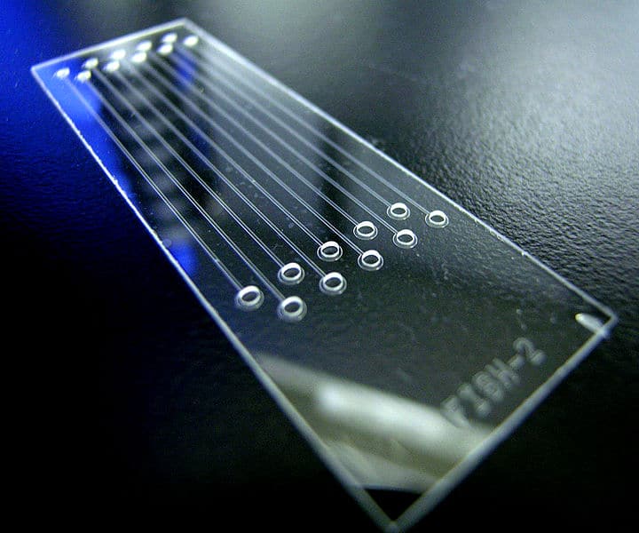 GLASS MICROFLUIDIC CHIP