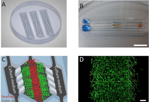 Microfabrication of Microfluidic Chips with hydrogel