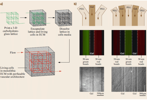 Microfabrication of Microfluidic Chips with hydrogel
