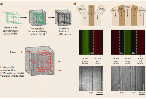 hydrogel Microfluidic Chips fabrication