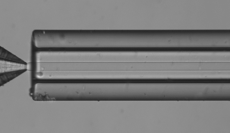 liposome nanoparticles generation PBS