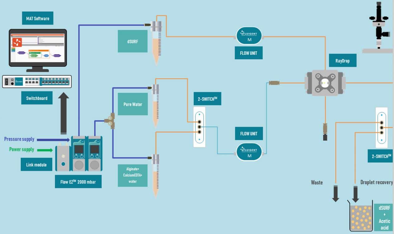 ALGINATE MICROBEADs generation setup