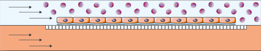 Crosstalk between neighboring cells