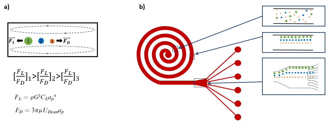 Cell sorting working principle