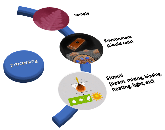 characterization of copper