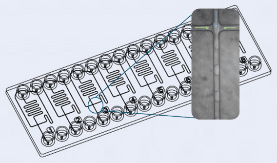 Chipshop microfluidic chip for water emulsion generation