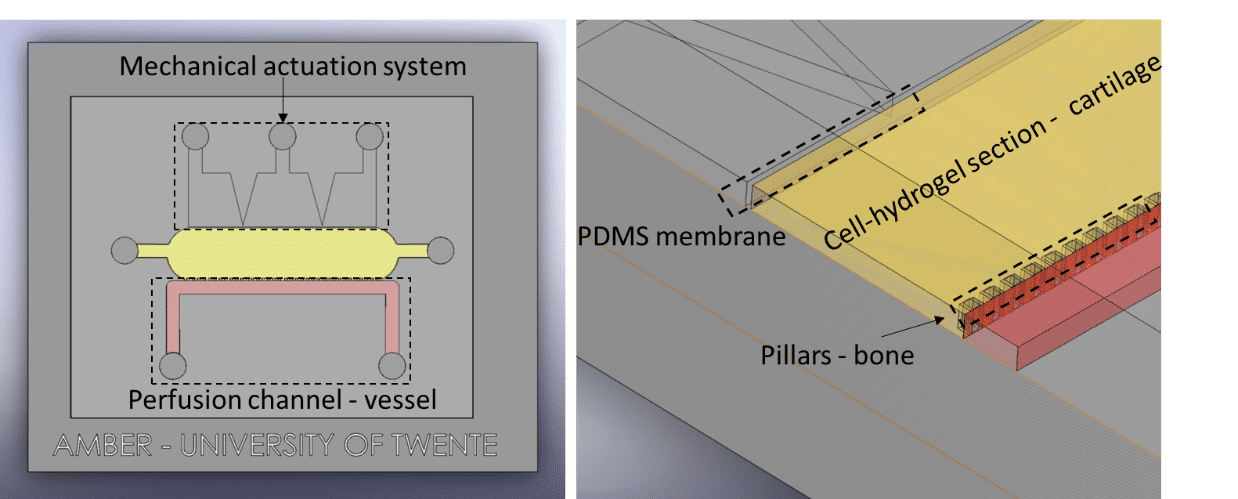 Compressive stress