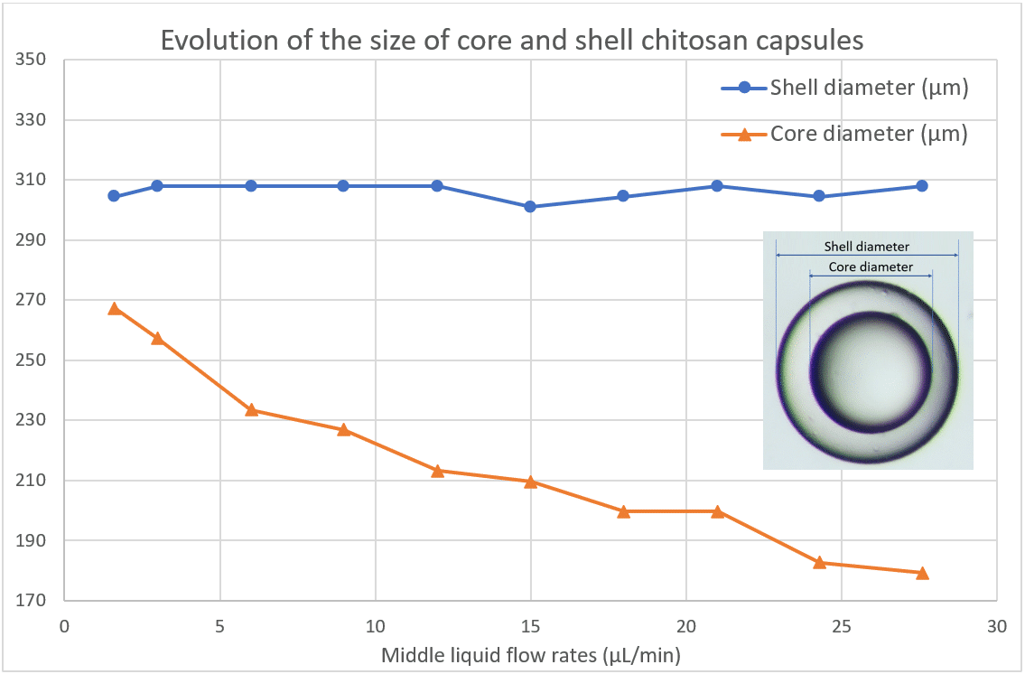 Core-size-and-shell-size-as-a-function-of-the-shell-liquid-flow-rate