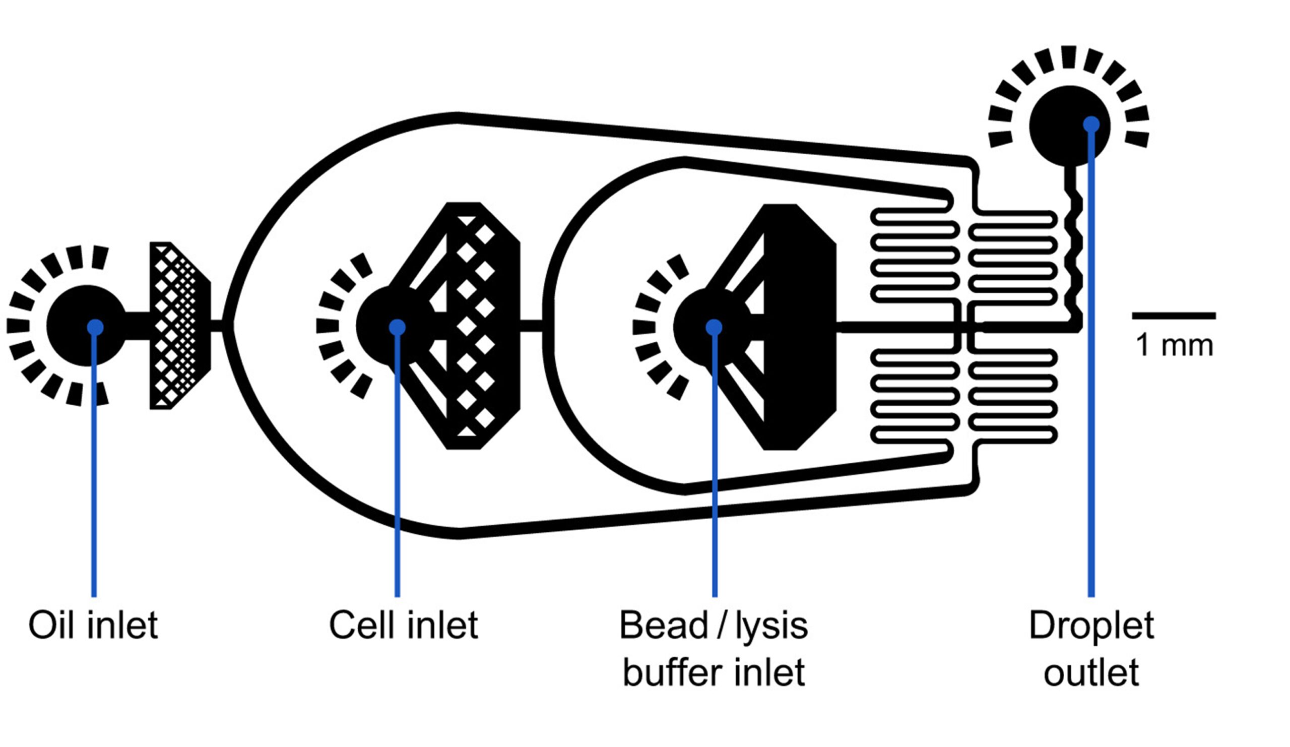 Drop seq package setup