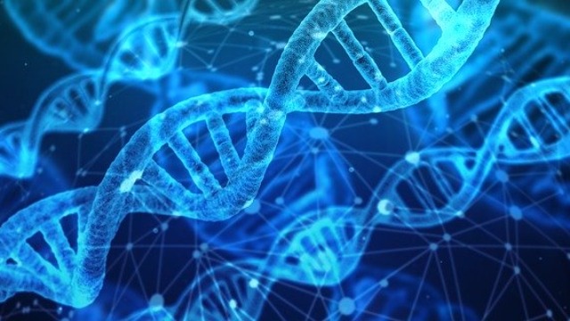 DNA hibridization