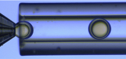 UV-Crosslinking of Microcapsules