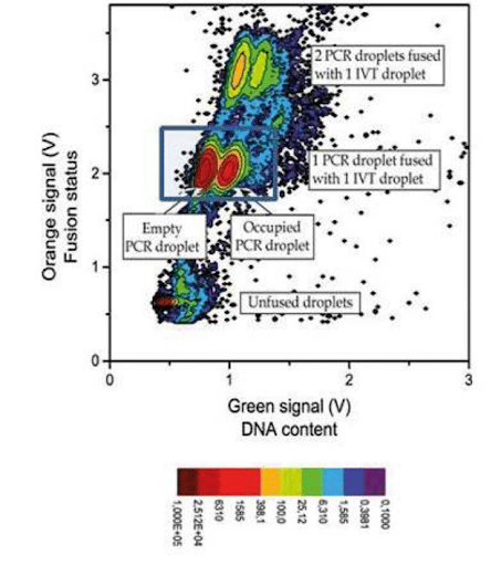 DNA screening using digital PCR and droplet fusion