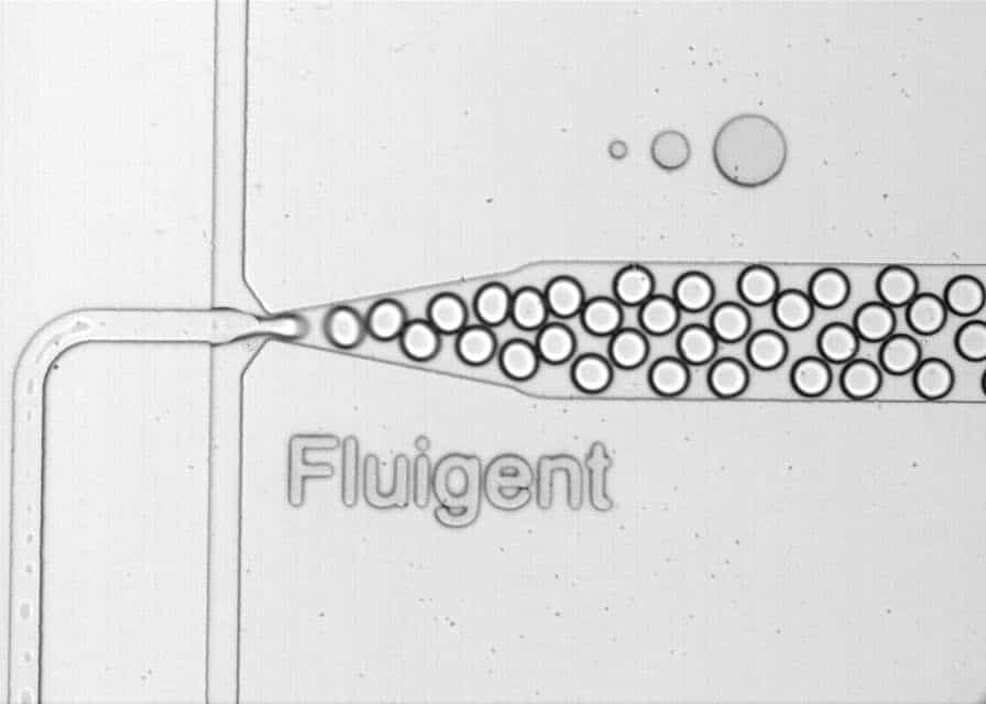 Figure 5: droplet generation with the Fluigent Droplet Starter Pack.