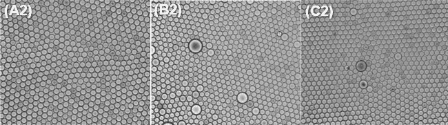 dSurf surfactante for microbiome culture in droplets