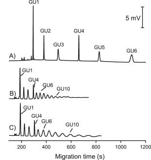 Electropherograms for CE-LIF