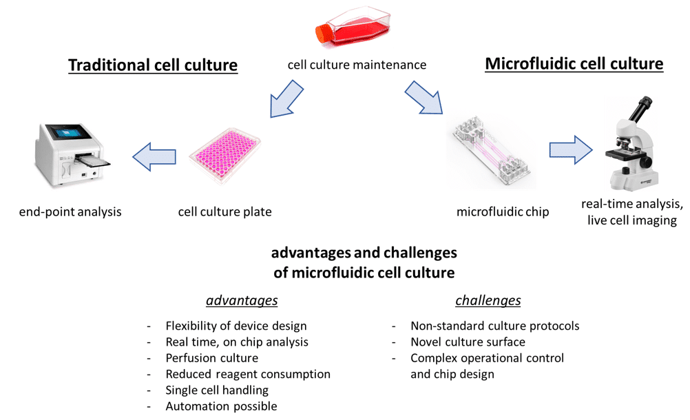 evaluate-cell-growth