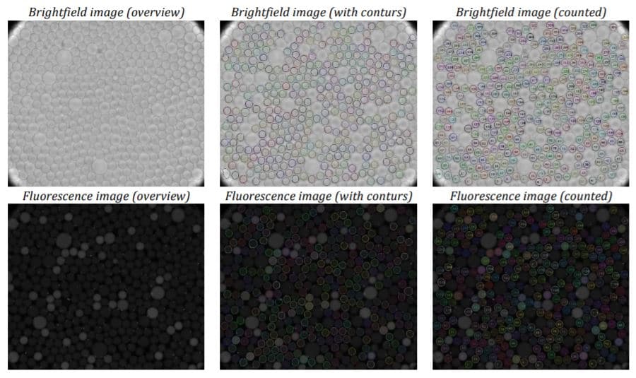 digital pcr assay evaluation procedure