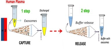 FB-methodology-for-capture-and-release-of-exosomes-from-human-plasma